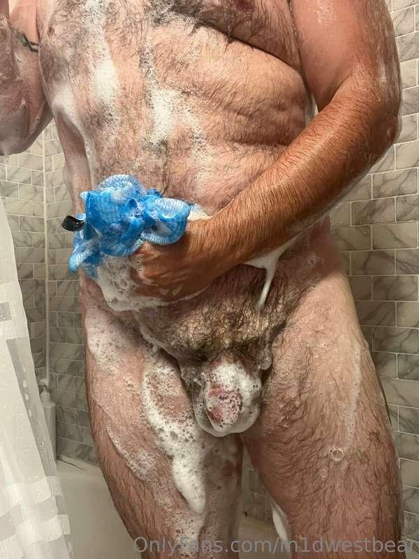 m1dwestbear image #1