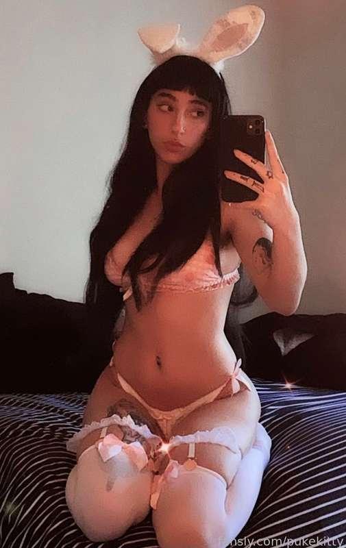 bunny bunny bunny 