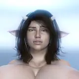 feldusk