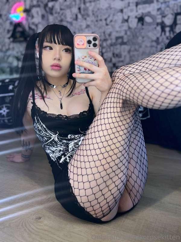 korpsekitten image #5