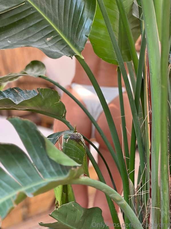 My photographer captured these 2 pictures during the session..