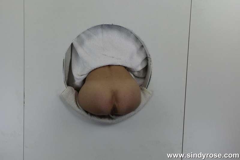 sindyrose image #2