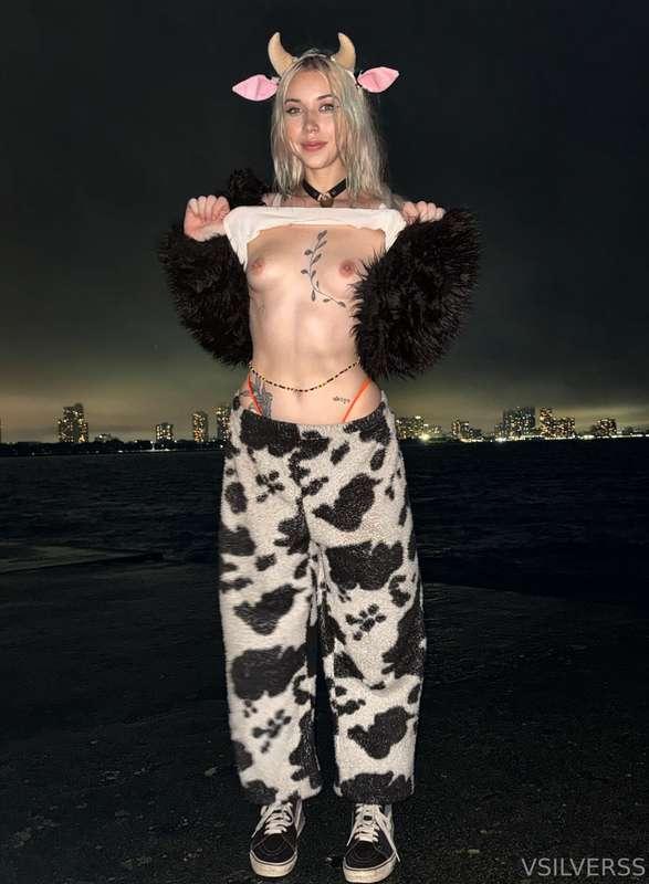 vsilverss image #0