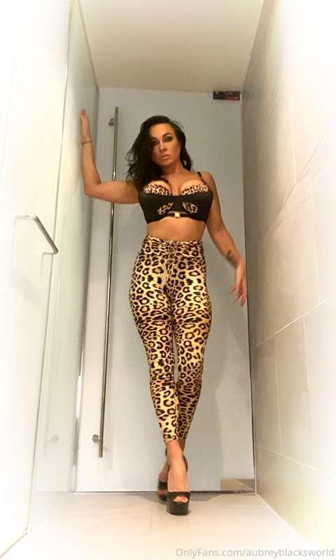 Like an animal on the prowl! I'm ready to get 1-1 nasty in t..