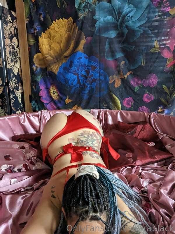 sierrablack image #18