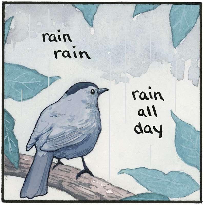 Gray Day