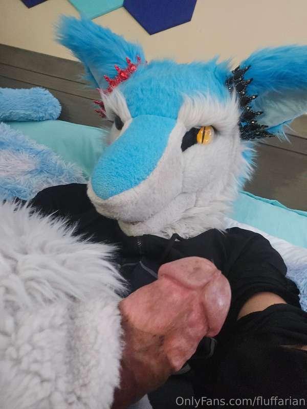 Needy 🧀 Wiggles~