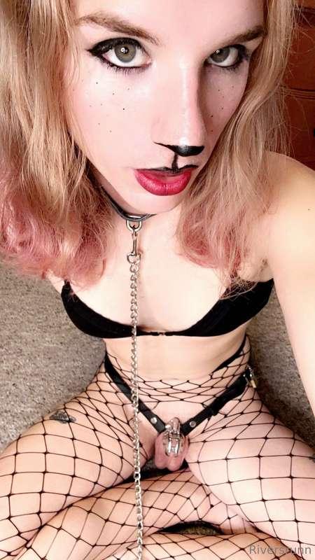 Like grrrrrr Imma bite someone 😤