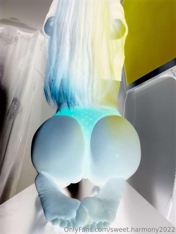 sweet.harmony2022 image #0