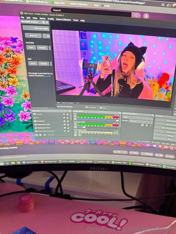 diddlydonger image #1