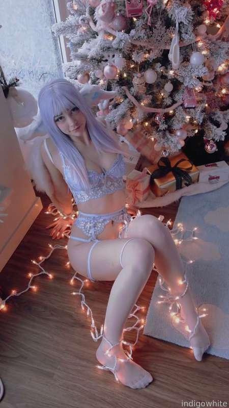 indigowhite image #113