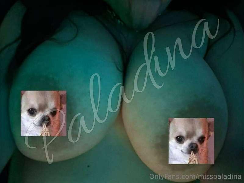 Chi viene a togliere i cagnolini in privato? Vi aspettooo 💋
