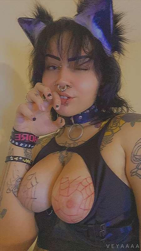 kibby misses you 🥺