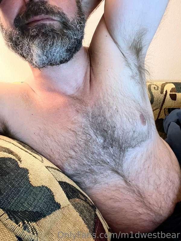 m1dwestbear image #2