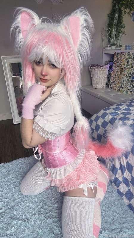 indigowhite image #76