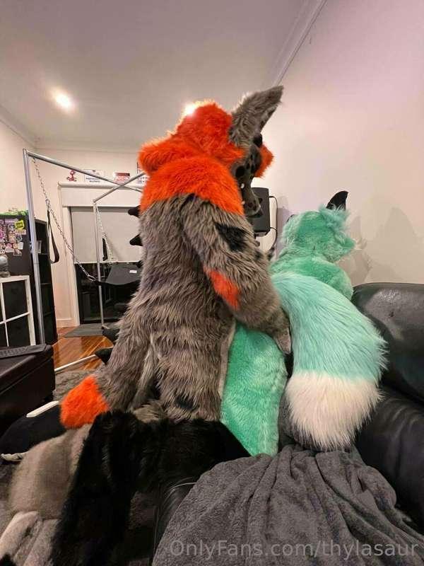Y’all ever been humped by a dinodog?? 💦