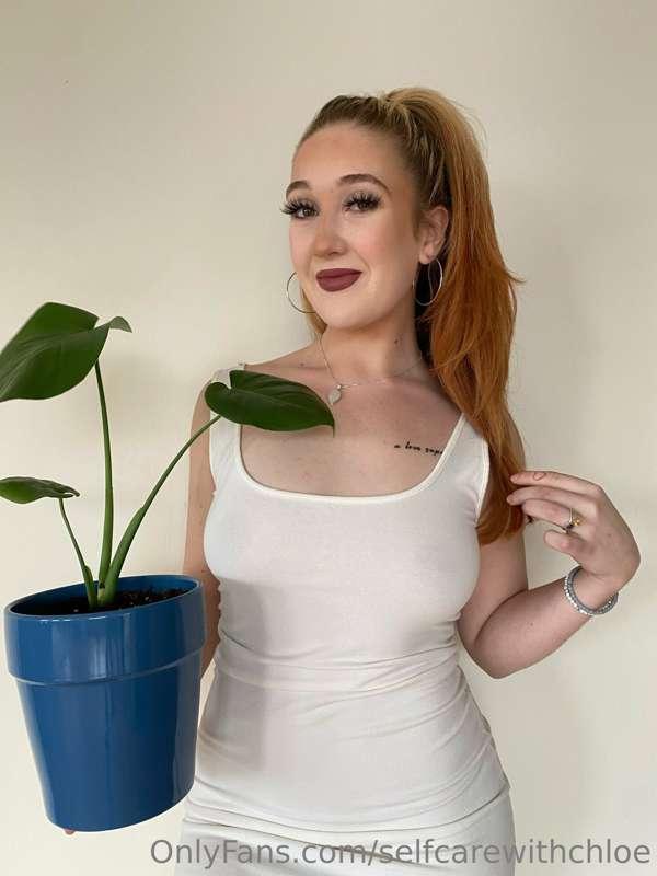 Plant of the week 🥳🌱 monstera deliciosa 😍 
This plant has be..