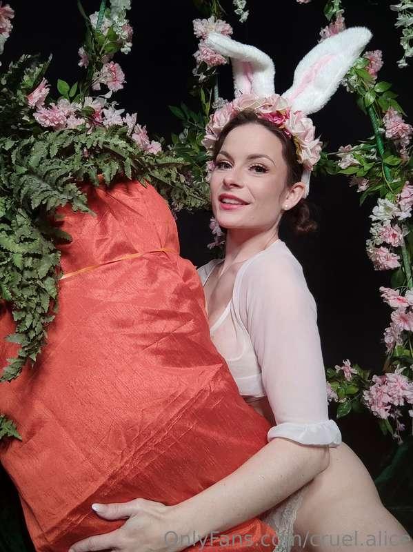 Here is a little scandalous story about a naughty bunny and ..