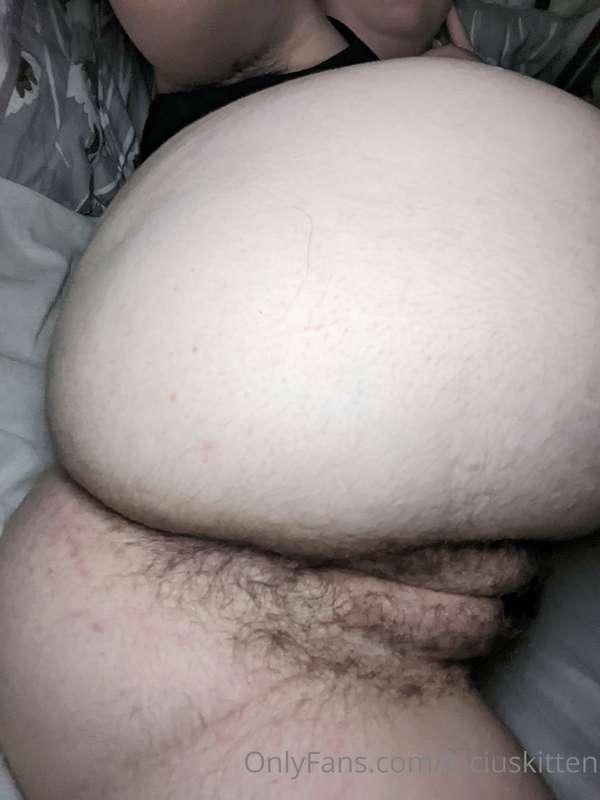 luciuskitten image #1