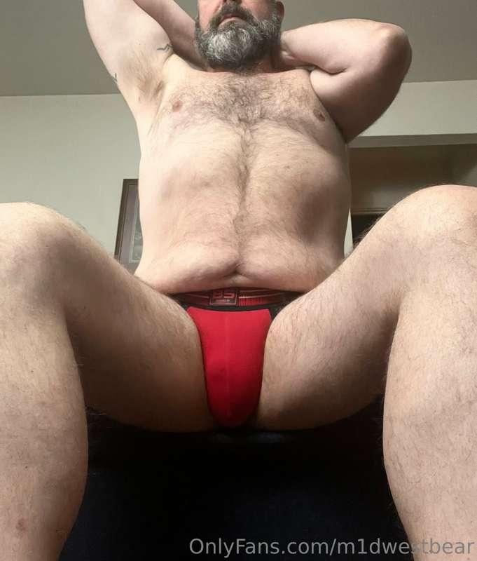 m1dwestbear image #0