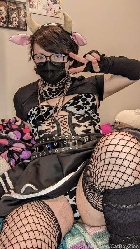 catboyzion image #12