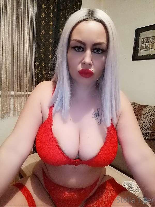 stellatiger10 image #9