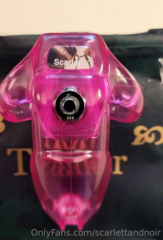 Custom cage that one of my most loyal subs had made. I have ..