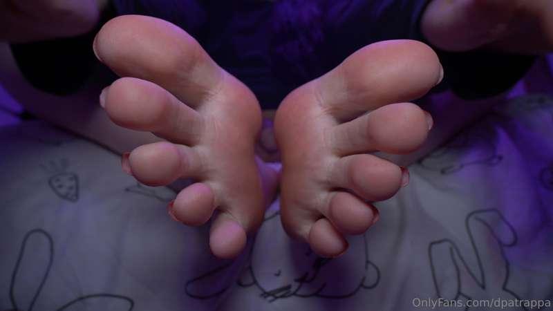 dpatrappa image #4