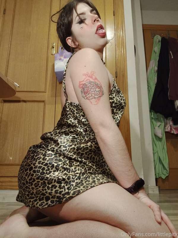 kitty kitty