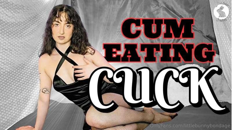 Tonight is the night! You and I are trying cucking for the f..