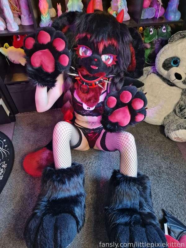 littlepixiekitten image #5