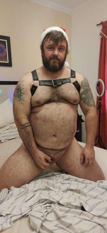 bearpamp main image