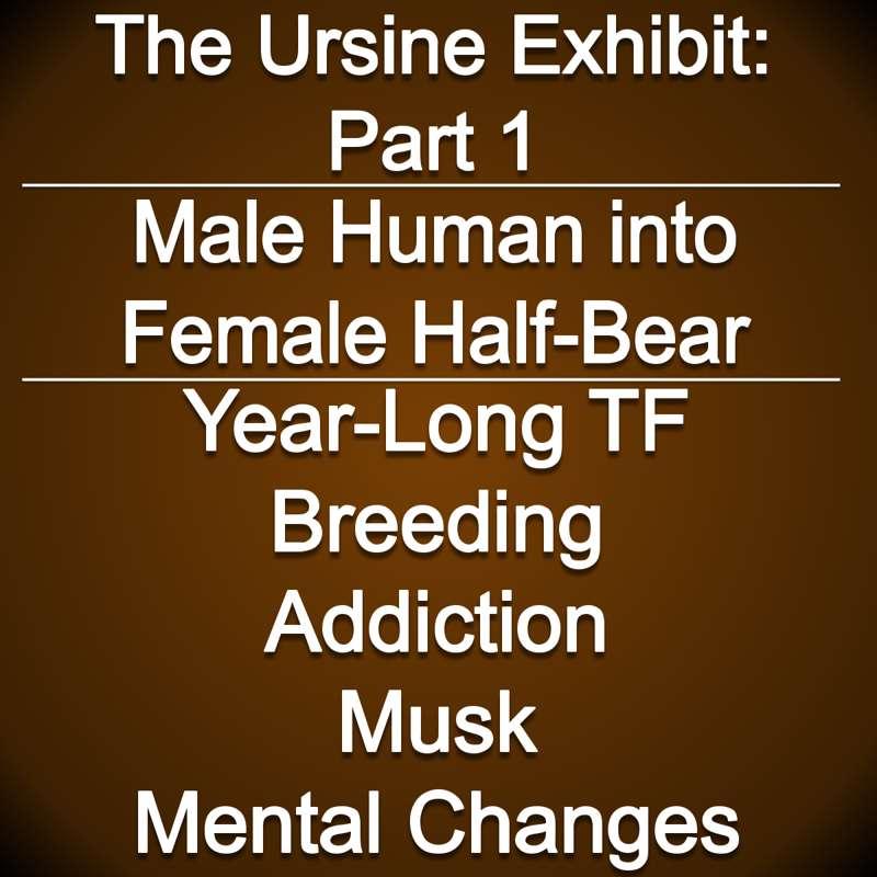Staggered Content: The Ursine Exhibit: Part 1 