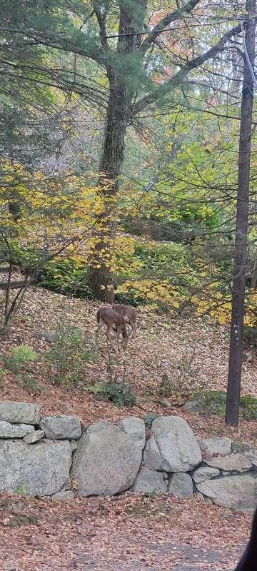 I look out window and-