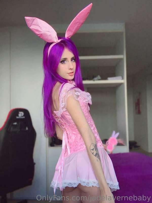 🐰
