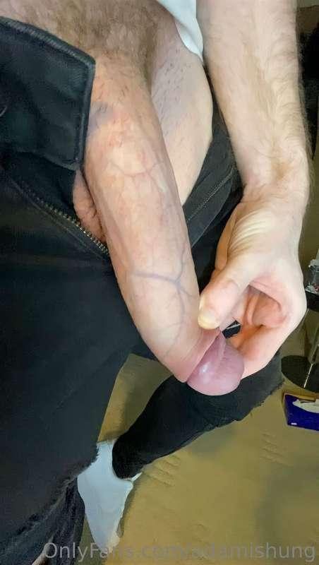 adamishung image #1