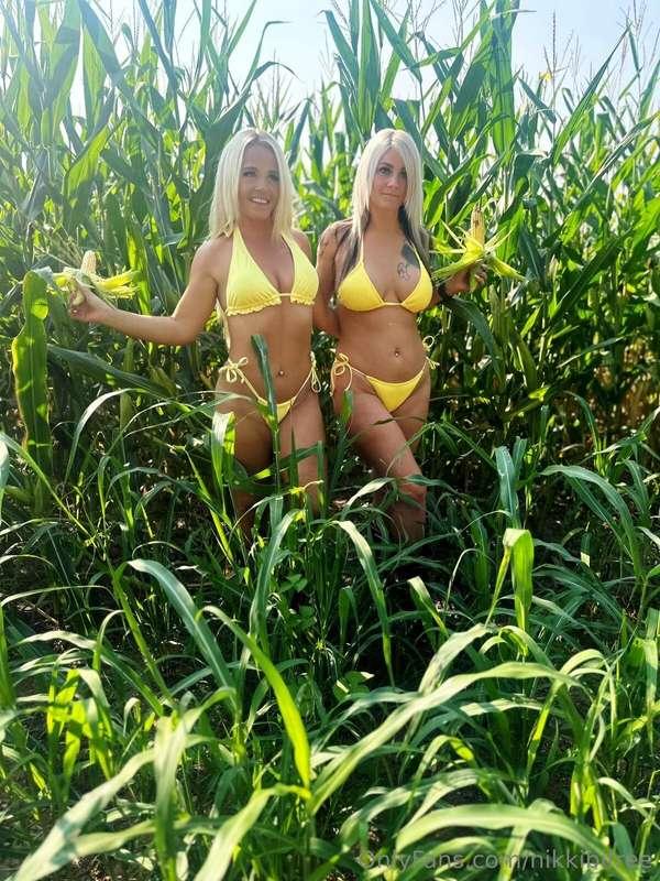 CORN GIRLS ARE IN THE FIELD😍 Ever wondered how corn would fe..