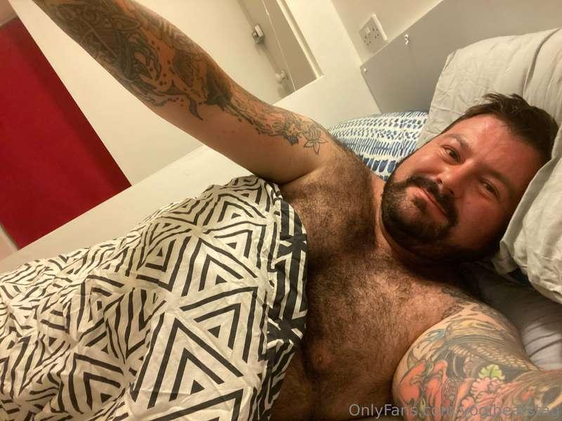 yogibearstag image #3