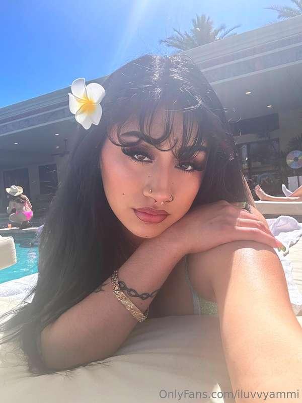 🌸🌺