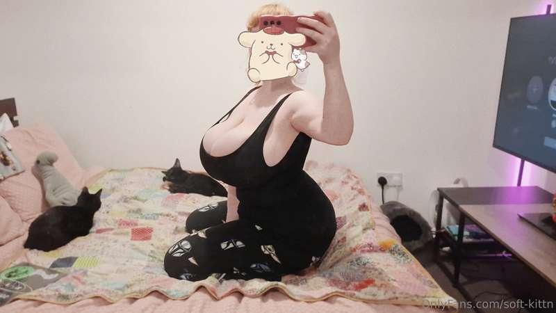 soft-kittn image #0