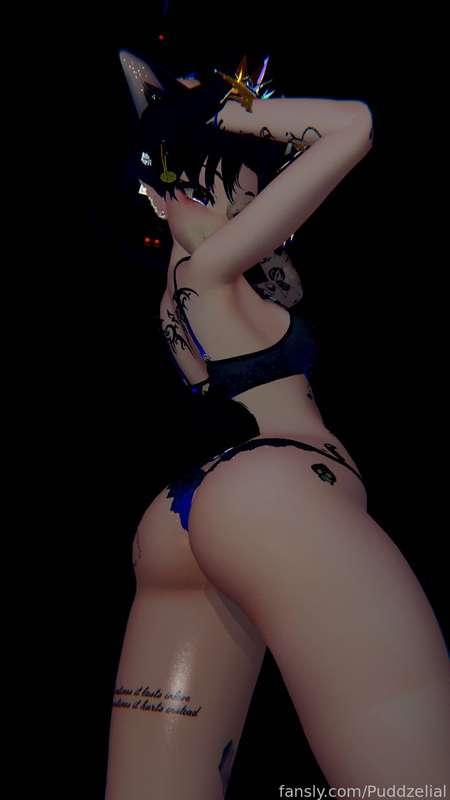 puddzelial image #2