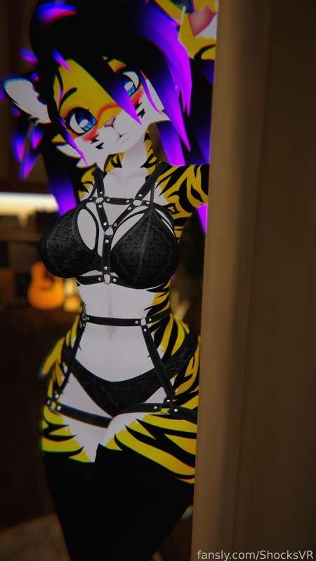 shocksvr image #2