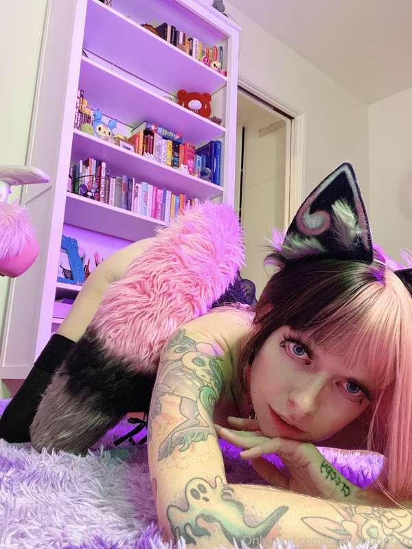 some more cute kitty content because, let’s be honest, you c..