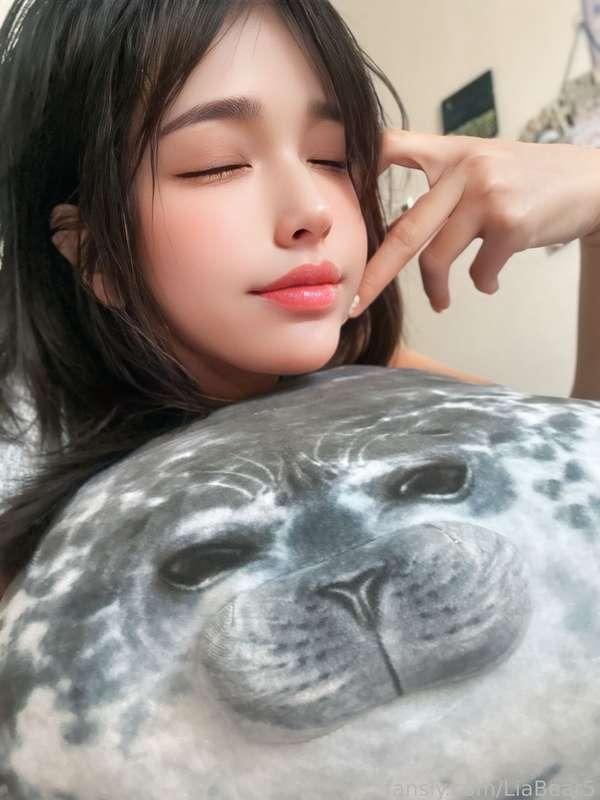 liabear5 image #1