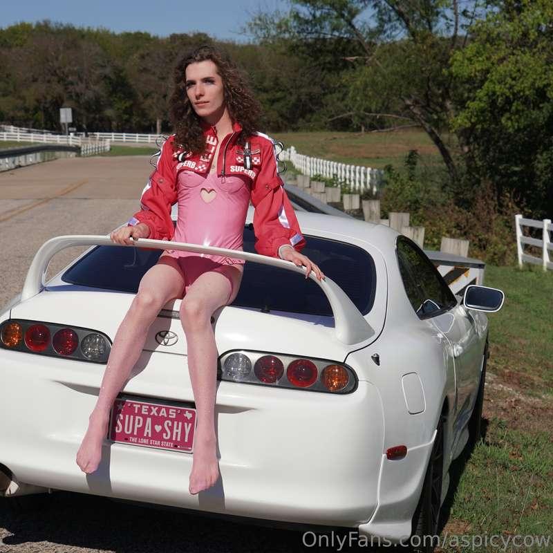aspicycow image #2
