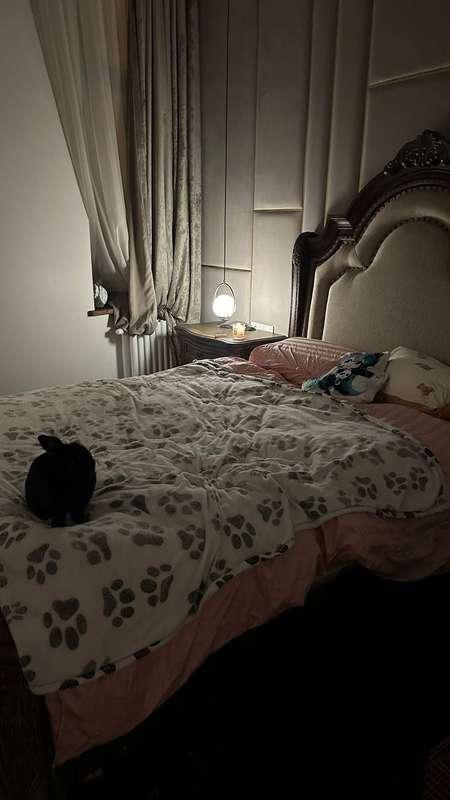 yoursmalldoll image #2