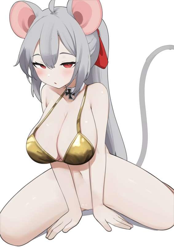 May. 12. 2025 (Maus)