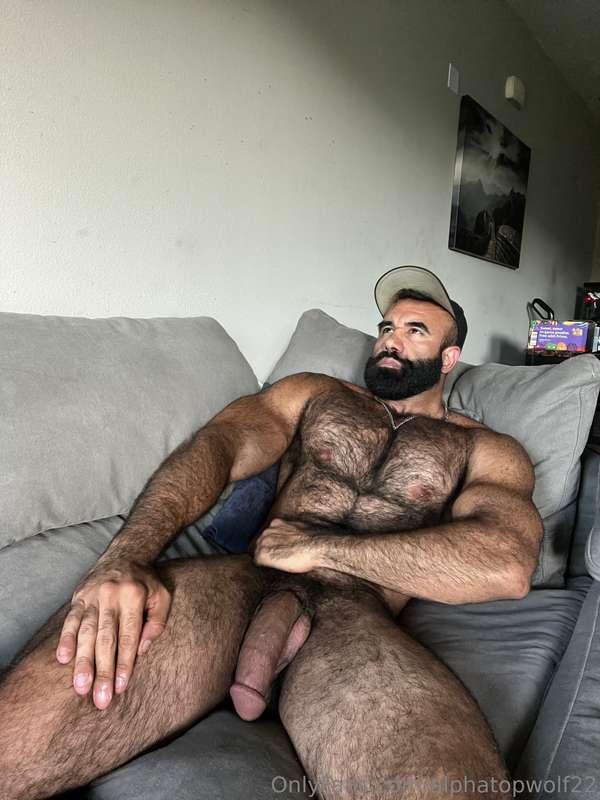 alphatopwolf22 image #2