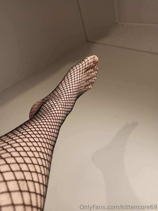 kittencore69 image #0