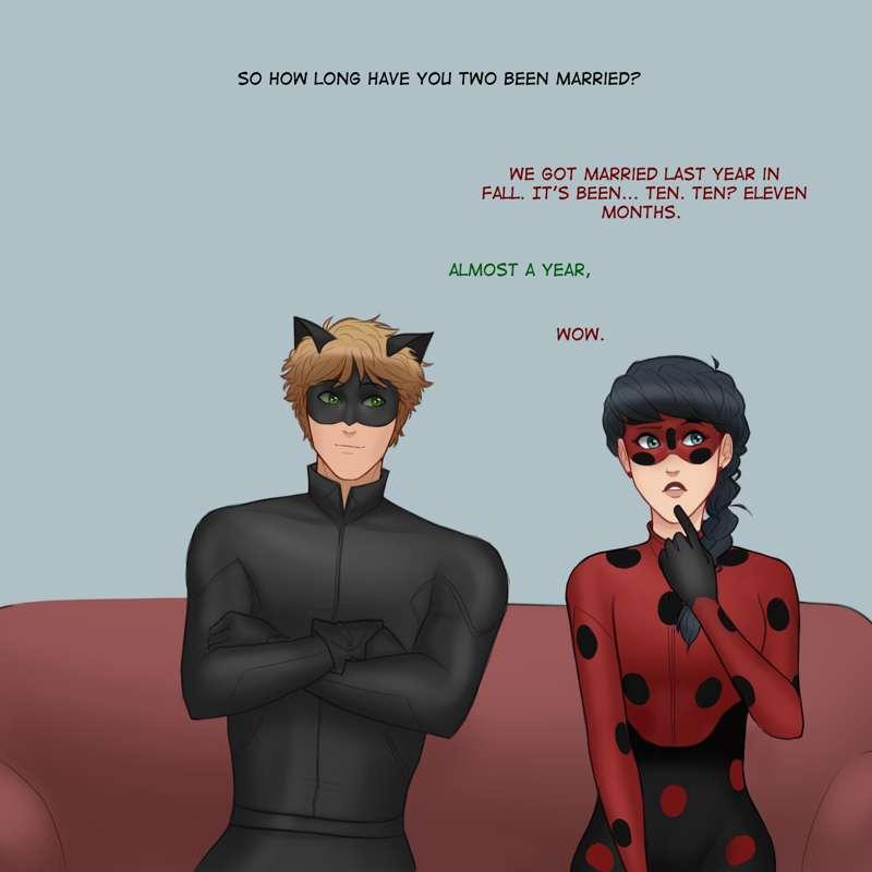 The Interview part 3 - Married Ladynoir AU